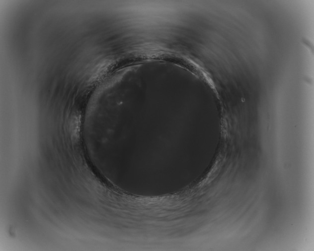 X0000091240018200708301549