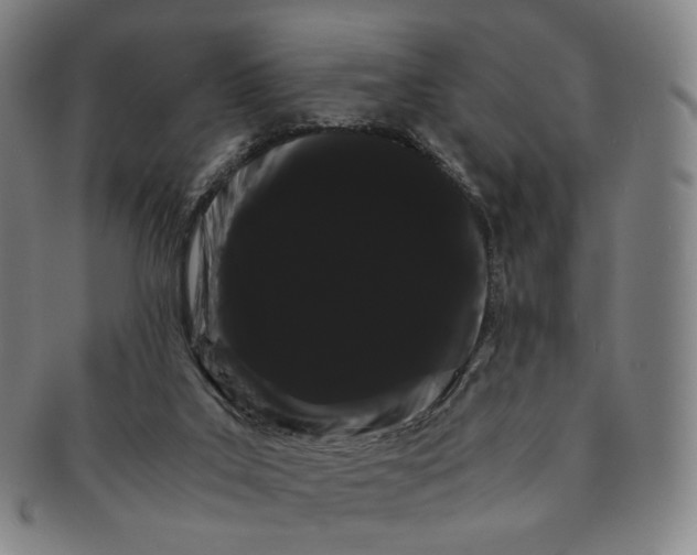 X0000091240019200708301549