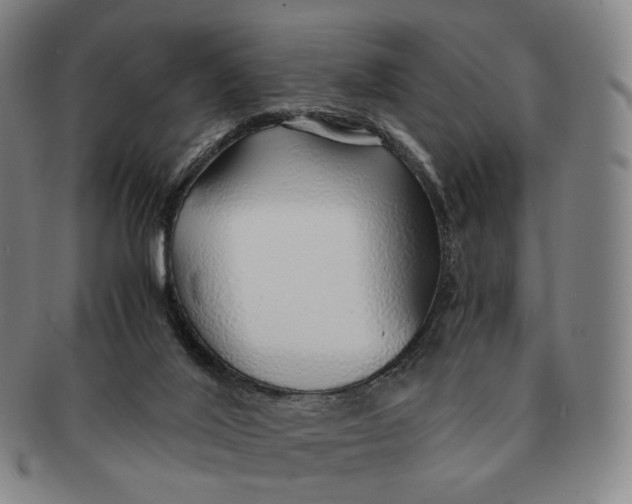 X0000091240020200708301549