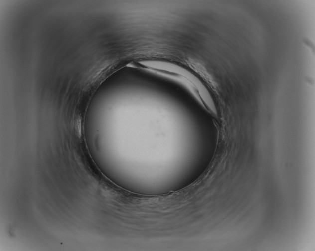 X0000091240021200708301549