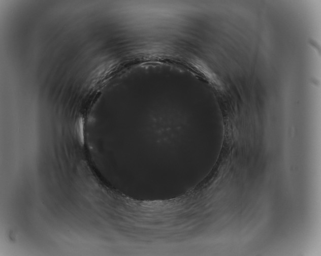 X0000091240022200708301549