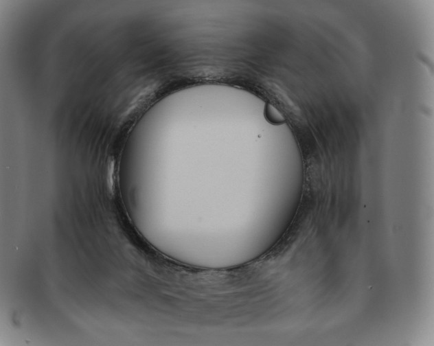 X0000091240024200708301549