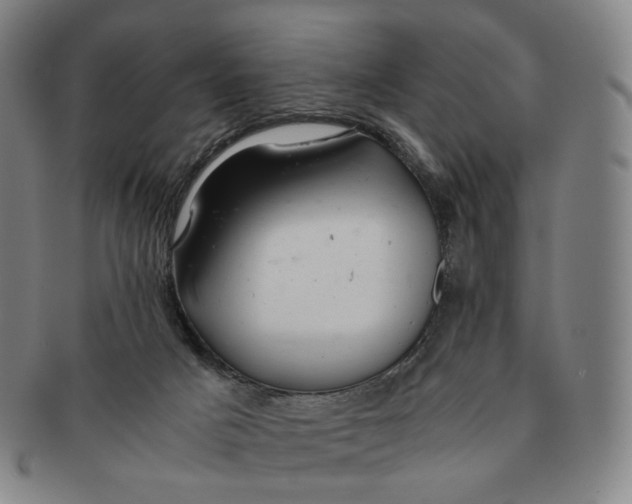 X0000091240025200708301549