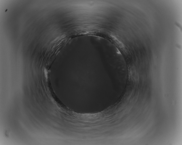 X0000091240026200708301549