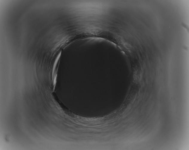 X0000091240027200708301549