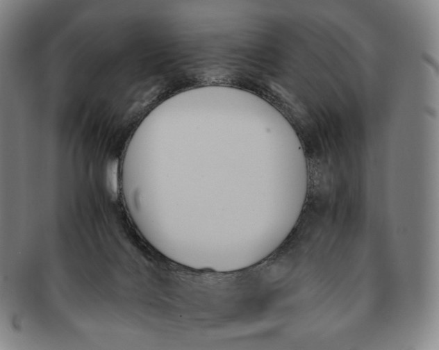 X0000091240028200708301549