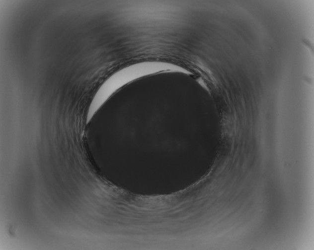 X0000091240029200708301549