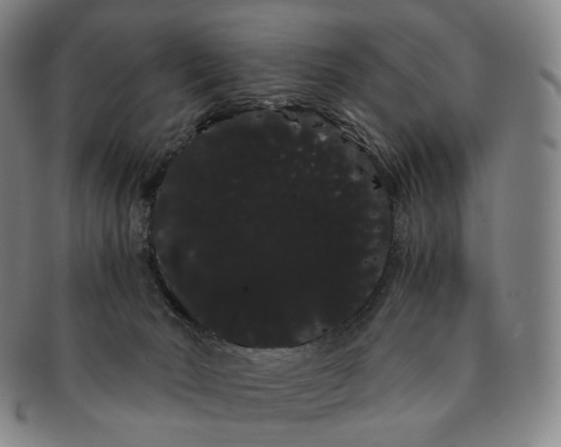 X0000091240030200708301549