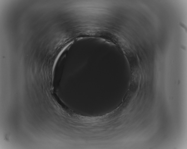 X0000091240031200708301549