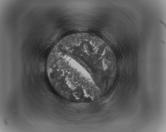 X0000091240032200708301549