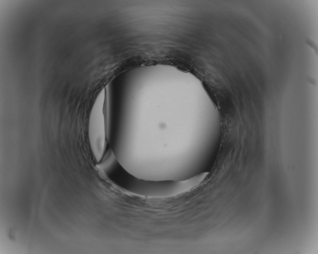 X0000091240033200708301549