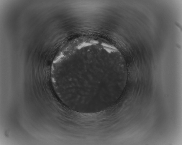 X0000091240034200708301549