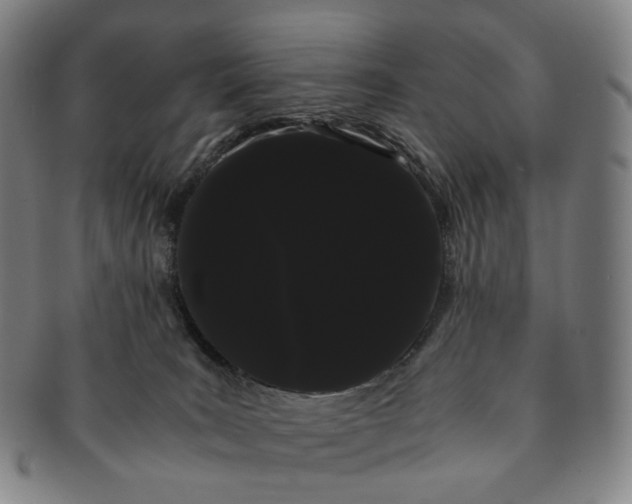 X0000091240035200708301549