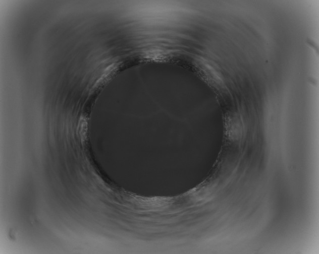 X0000091240036200708301549