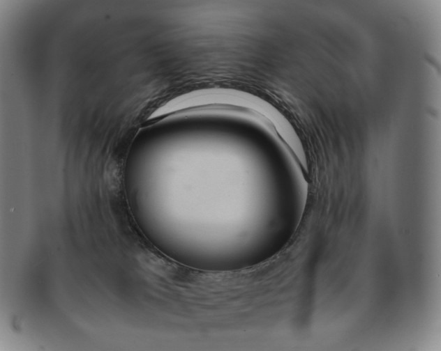 X0000091240037200708301549