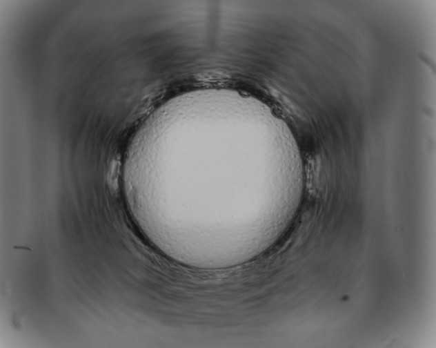 X0000091240038200708301549