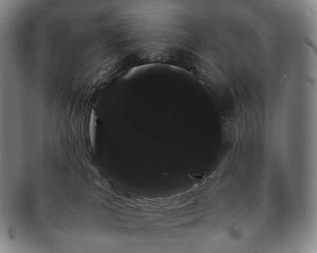 X0000091240039200708301549