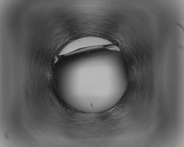 X0000091240040200708301549