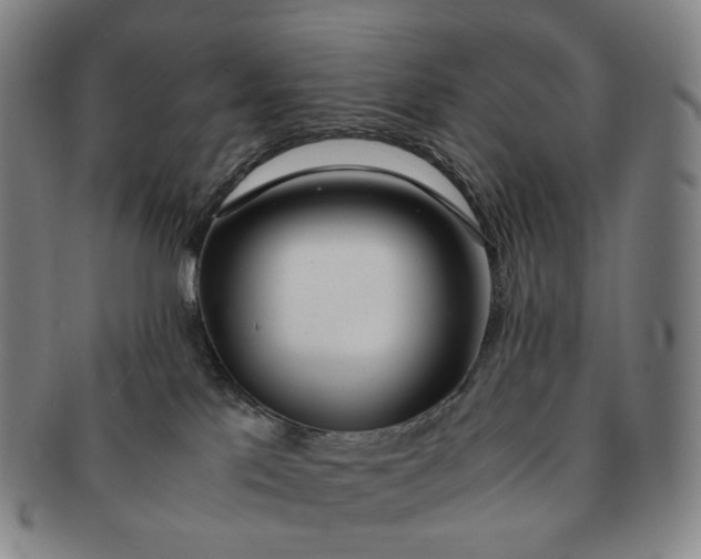 X0000091240041200708301549