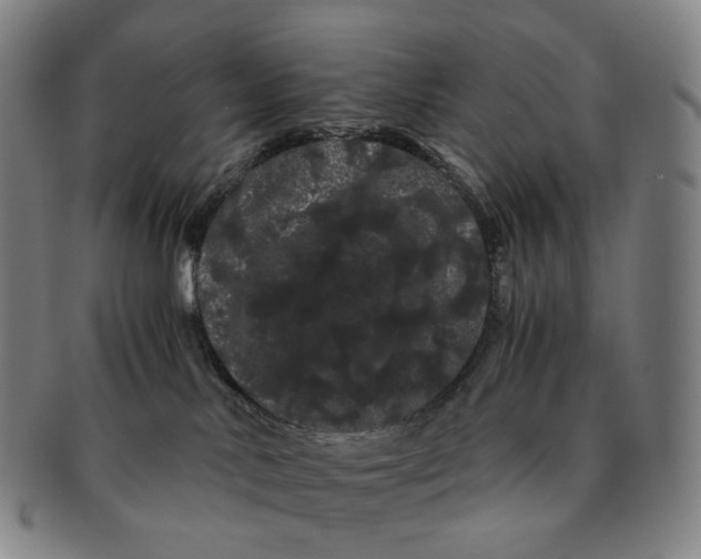 X0000091240042200708301549