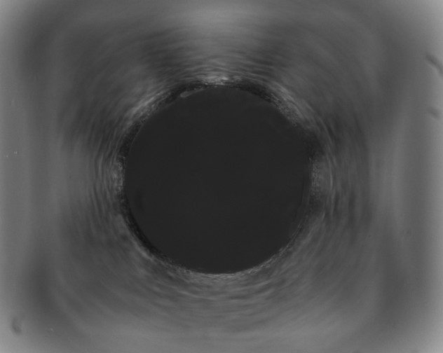 X0000091240043200708301549