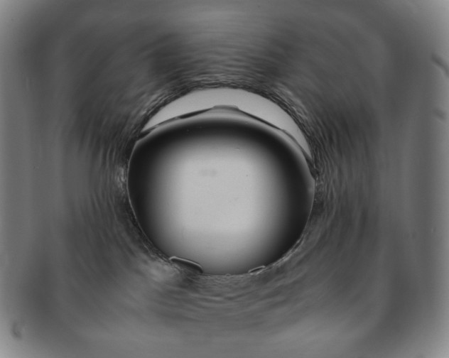 X0000091240045200708301549