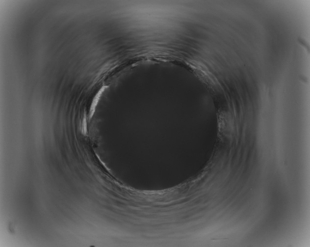 X0000091240046200708301549