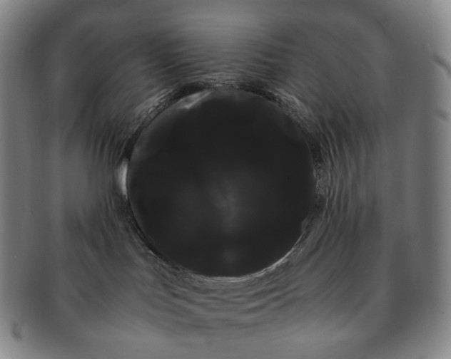 X0000091240047200708301549