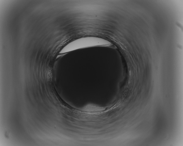 X0000091240048200708301549