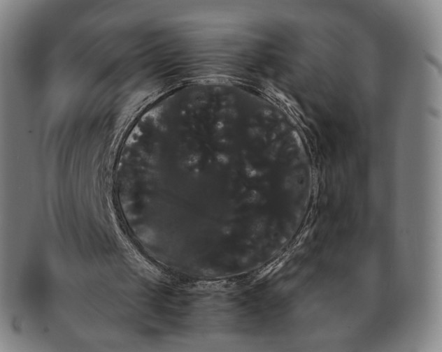 X0000091240049200708301548