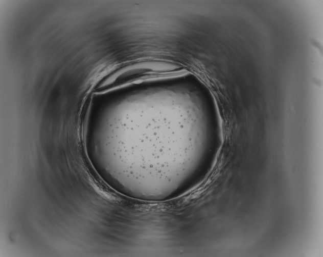 X0000091240050200708301548