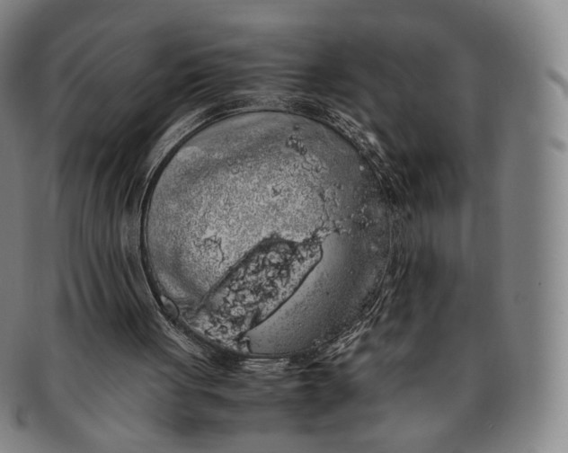 X0000091240051200708301548