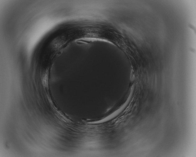 X0000091240052200708301548