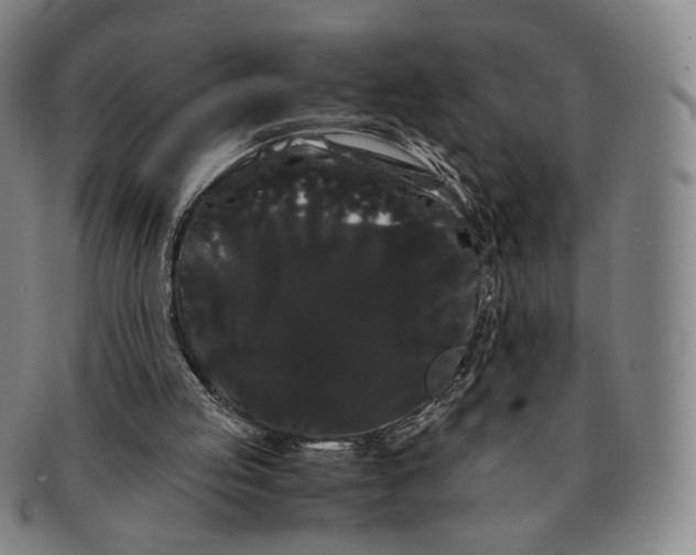 X0000091240053200708301548