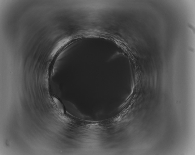 X0000091240054200708301548