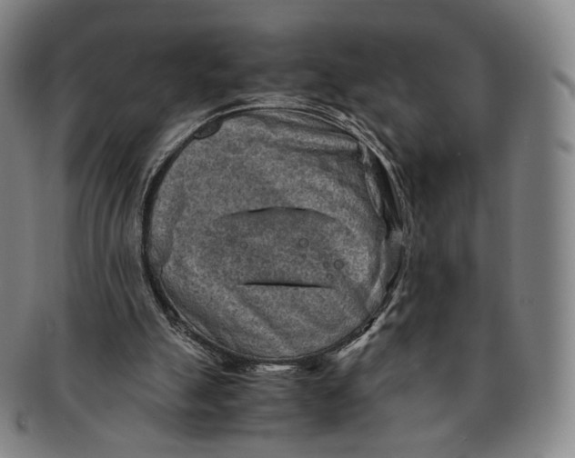 X0000091240055200708301548