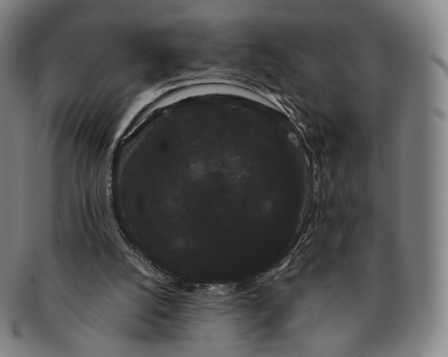 X0000091240056200708301548