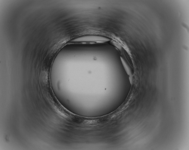 X0000091240057200708301548