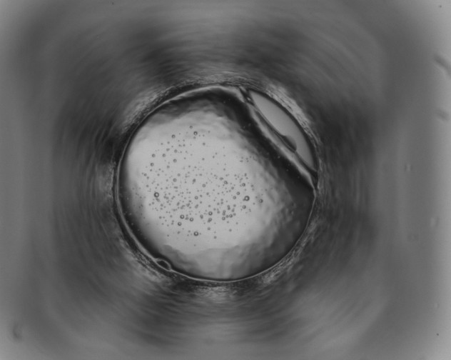 X0000091240058200708301548