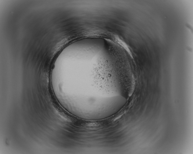 X0000091240059200708301548