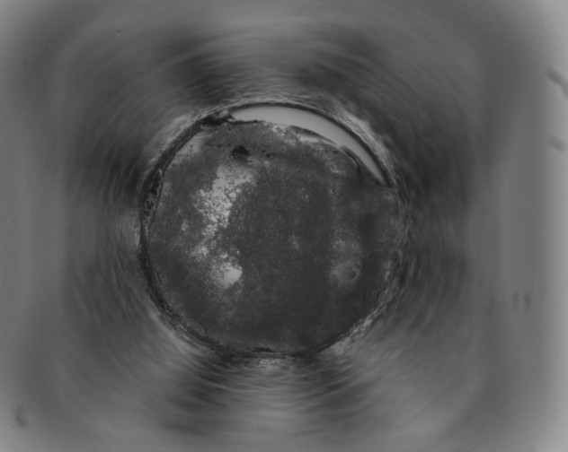 X0000091240060200708301548