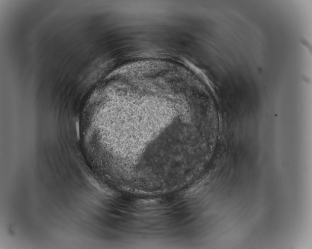 X0000091240061200708301548