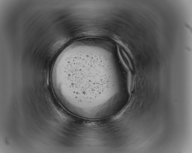 X0000091240062200708301548