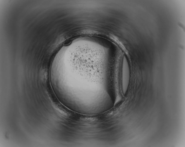 X0000091240063200708301548