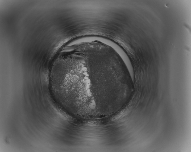 X0000091240064200708301548