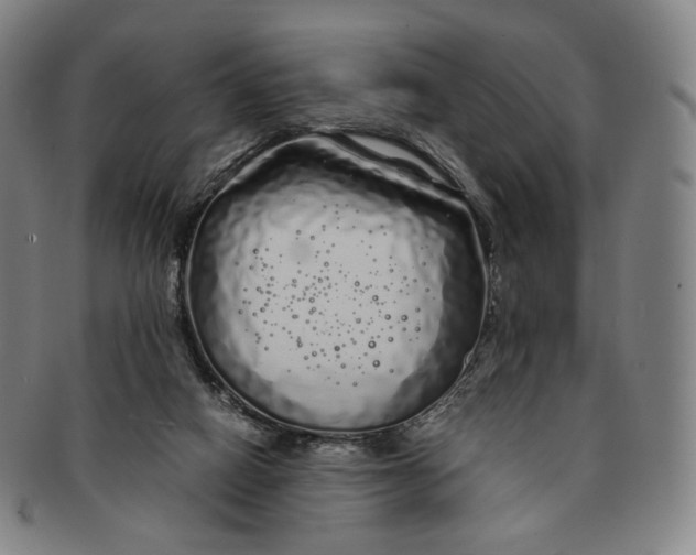 X0000091240066200708301548