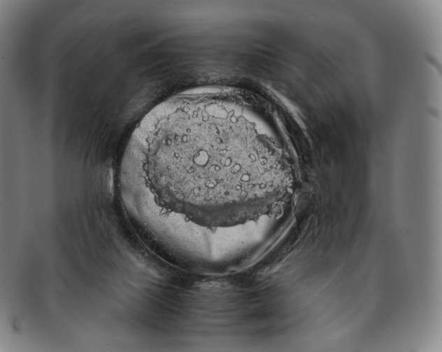 X0000091240067200708301548