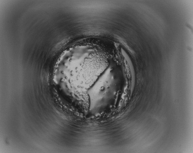 X0000091240068200708301548