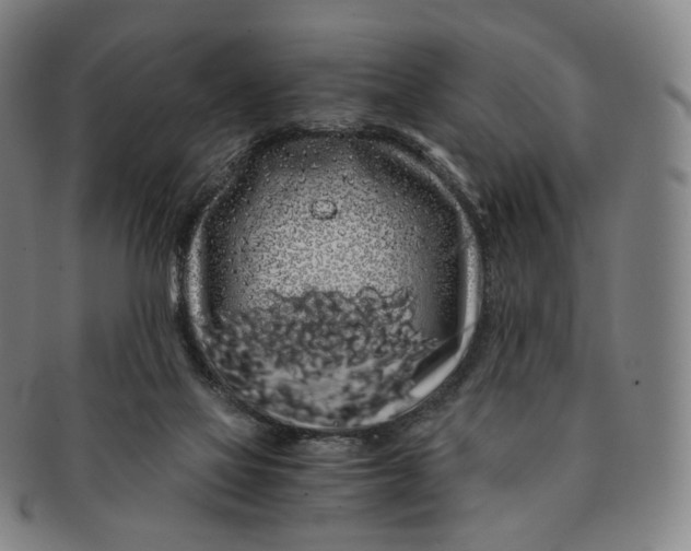 X0000091240069200708301548