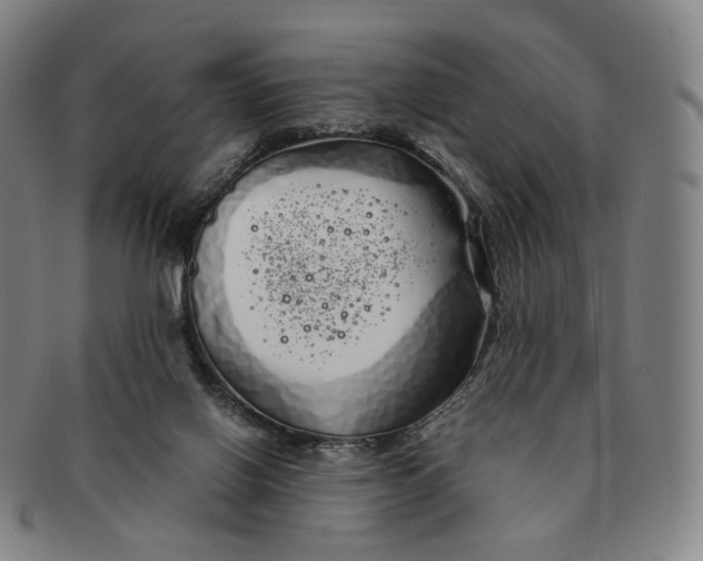 X0000091240070200708301548